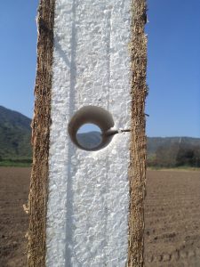 casa prefabricada, panel sip, sistema solar, fotovoltaico, casa termica